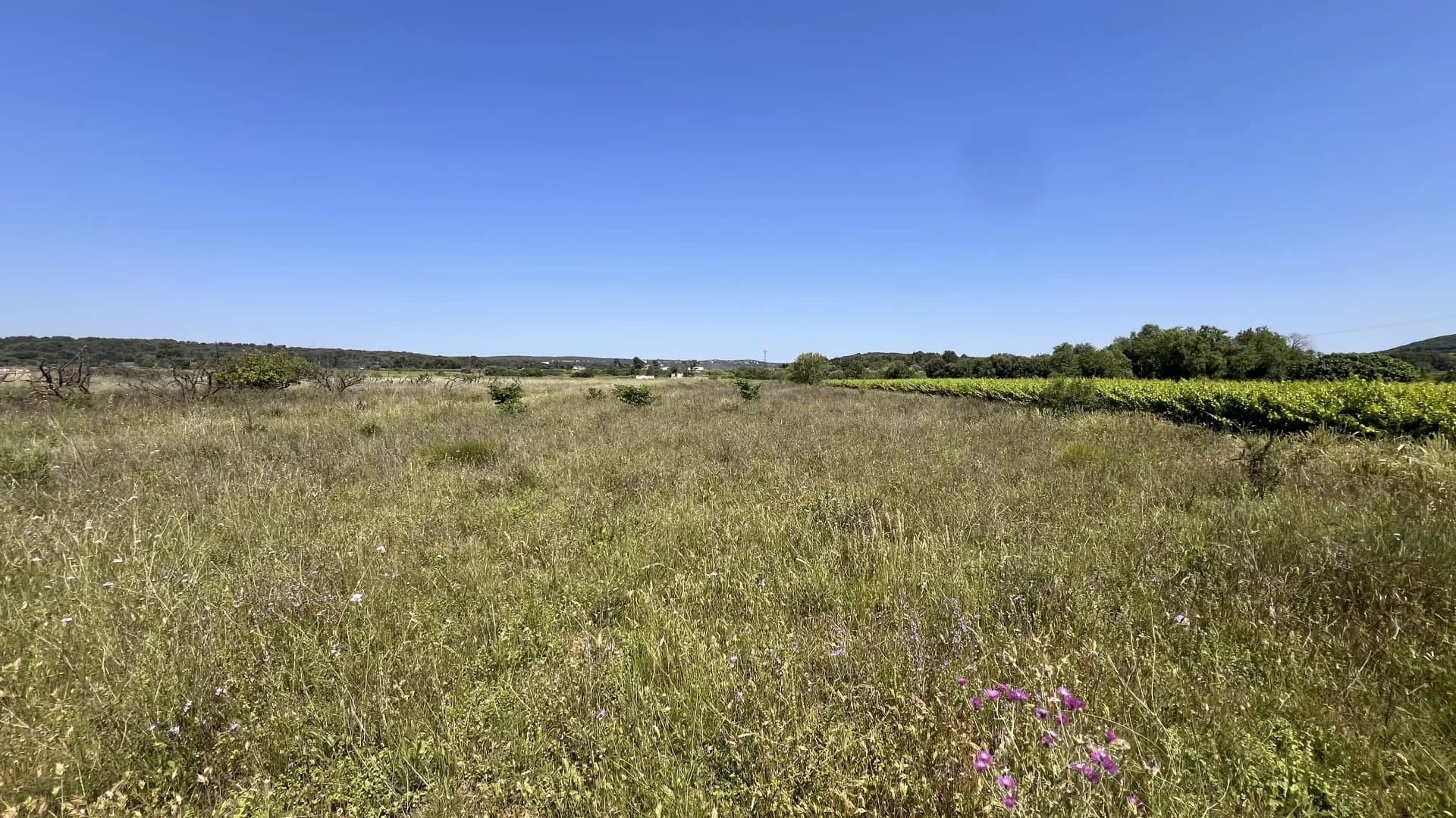 TERRAIN AGRICOLE 3850 M²